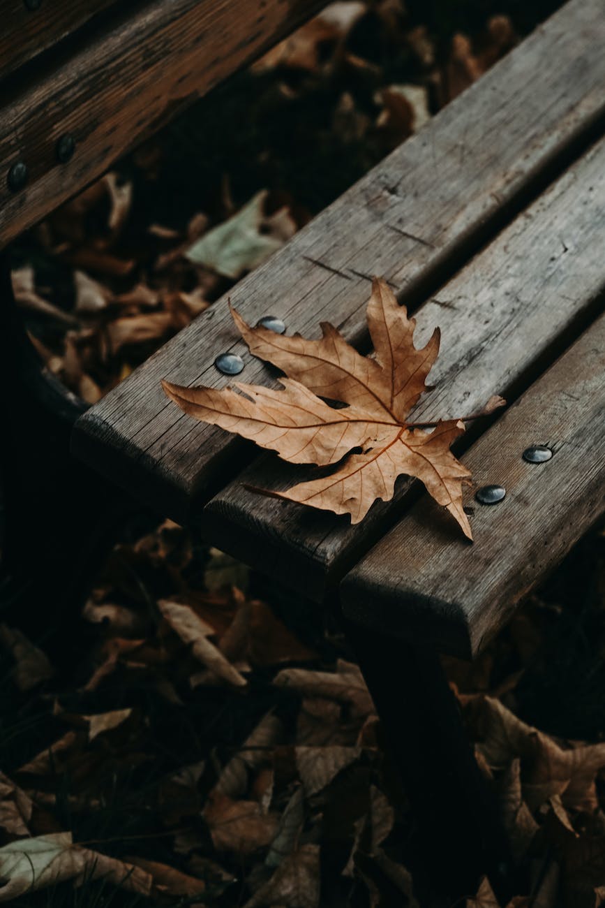 November 15, 2023–Beauty for&nbsp;Ashes…